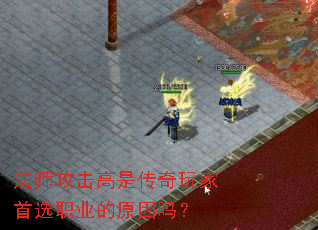 ��ʦ�������Ǵ��������ѡְҵ��ԭ����