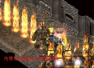 ����˽���ƹ�NPC����ָ�ϣ�