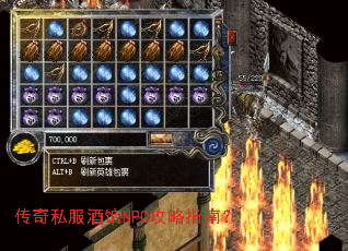 ����˽���ƹ�NPC����ָ�ϣ�