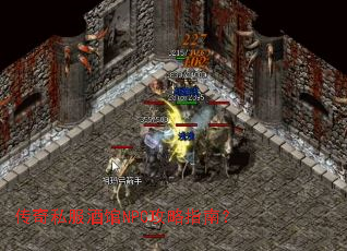 ����˽���ƹ�NPC����ָ�ϣ�