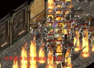 ����������θ�Чˢ��������