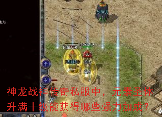 ����ս����˽���У�Ԫ��ʥ������ʮ���ܻ����Щǿ���ӳɣ�