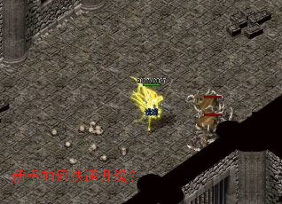 ������ο���������