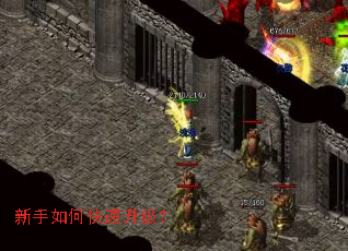 ������ο���������