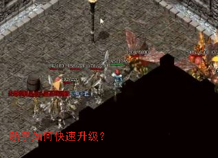 ������ο���������