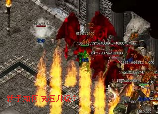 ������ο���������