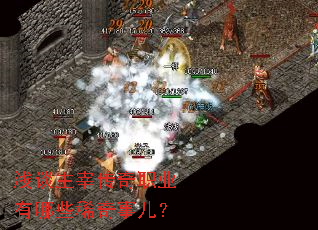 ǳ̸���״���ְҵ����Щϡ���¶���