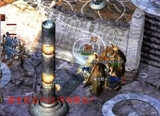 ��ʿְҵPK��������Щ��