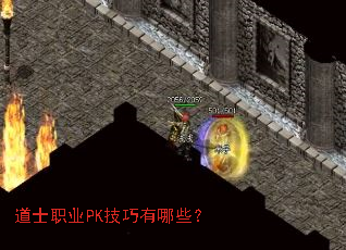 ��ʿְҵPK��������Щ��