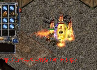 菜球如何获得白野猪的强力支援? 菜球如何获得白野猪的强力支援?