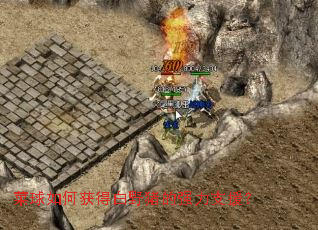 菜球如何获得白野猪的强力支援? 菜球如何获得白野猪的强力支援?