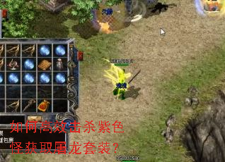 如何高效击杀紫色怪获取屠龙套装? 如何高效击杀紫色怪获取屠龙套装?