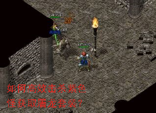 如何高效击杀紫色怪获取屠龙套装? 如何高效击杀紫色怪获取屠龙套装?