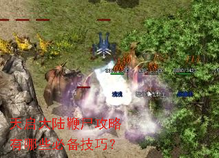 天启大陆鞭尸攻略有哪些必备技巧? 天启大陆鞭尸攻略有哪些必备技巧?