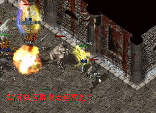 ��ο��ٶ����������ԣ�