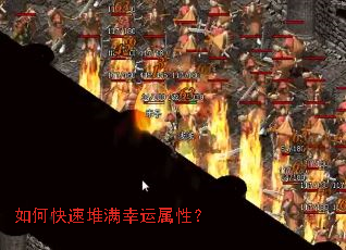 ��ο��ٶ����������ԣ�