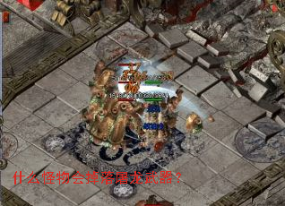 ʲô������������������