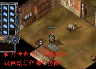 新开传奇法师小神魔10级自动领悟哪些技能? 新开传奇法师小神魔10级自动领悟哪些技能?