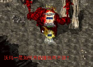 沃玛一层如何升级赚钱两不误? 沃玛一层如何升级赚钱两不误?