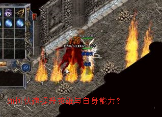 ��ο�������Ӣ��������������