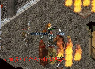 �����������˽���򱦱��ʣ�