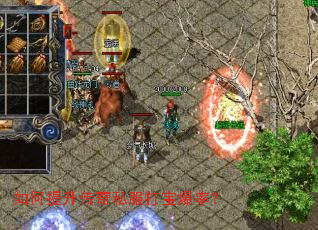 �����������˽���򱦱��ʣ�