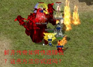 �¿�������ο���׬Ǯ����Щ�������Թ���