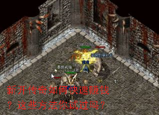 �¿�������ο���׬Ǯ����Щ�������Թ���