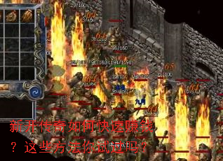 �¿�������ο���׬Ǯ����Щ�������Թ���