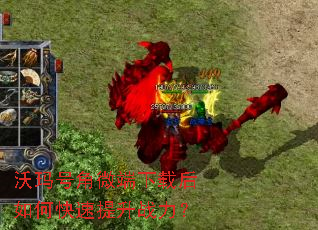 ����Ž�΢�����غ���ο�������ս����