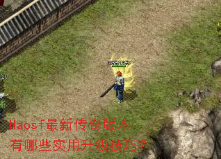 Haosf���´���汾����Щʵ���������ɣ�