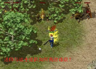 ��ʦ��սʿ�����θ�Ч������