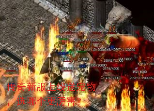 传奇新服上线送宠物,选哪个更厉害? 传奇新服上线送宠物,选哪个更厉害?