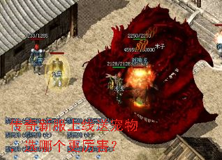 传奇新服上线送宠物,选哪个更厉害? 传奇新服上线送宠物,选哪个更厉害?