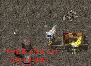 传奇新服上线送宠物,选哪个更厉害? 传奇新服上线送宠物,选哪个更厉害?