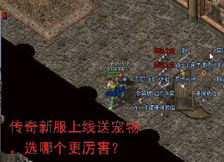 传奇新服上线送宠物,选哪个更厉害? 传奇新服上线送宠物,选哪个更厉害?