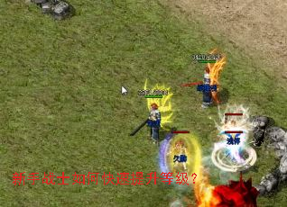 ����սʿ��ο��������ȼ���