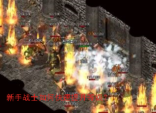 ����սʿ��ο��������ȼ���