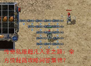 ����˽��������ʥ֮·��ȫ��λ�ؼ������ʴ𼯽���