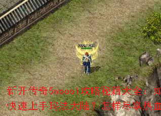 �¿�����5woool�����ؼ���ȫ����ο��������귨��½������������Ѫս����