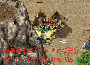 ������Ϸ������ο�������ս������ǿ���Դ����Ƶ���ʤ