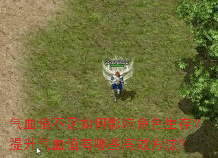 ��Ѫֵ�������Ӱ���ɫ���棿������Ѫֵ����Щ��Ч������