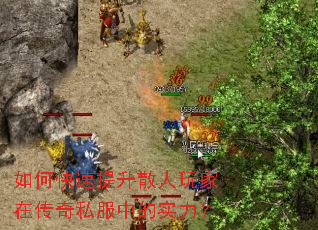 ��ο�������ɢ������ڴ���˽���е�ʵ����