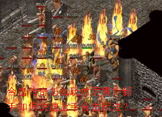 �ϻ�������ô���������������ο������ֺϻ��淨��