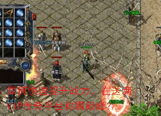 ��ο�������ս����������VIP����ƽ̨�ư��۷壿