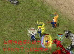 ��ο�������ս����������VIP����ƽ̨�ư��۷壿