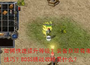 ��ο��������ȼ���װ����ȡ����Щ���ɣ�BOSS��ս������ʲô��