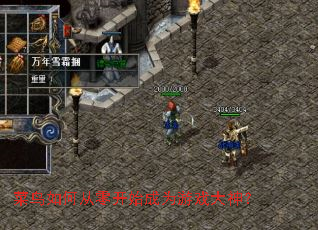 菜鸟如何从零开始成为游戏大神? 菜鸟如何从零开始成为游戏大神?