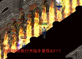 如何获得契约大陆中最强BUFF? 如何获得契约大陆中最强BUFF?