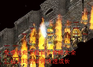 ��׿�����������ֹ��Դ�ȫ�������귨��ο��ٳɳ�